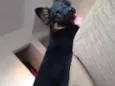 Sol