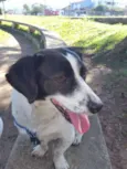 Desconheço