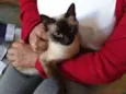 Linda