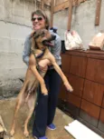 Simba