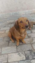 Mel