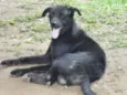 TULIO