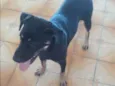 Loki