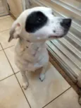 Kika