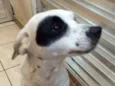Kika