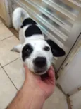 Kika