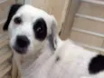 Kika