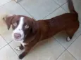 Lua