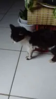 Não tem