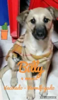 Billy