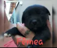 Sem nomes