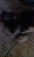 Não tem 