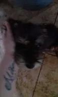 Não tem 