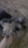 Não tem 