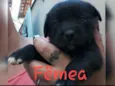 Sem nomes