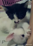 Lili & Luna