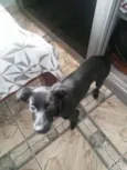Tekila