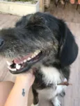 Herói