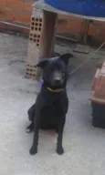 MARLEY