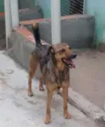 Lathifa.