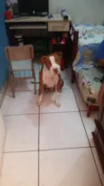 Bruce