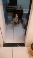 Bruce