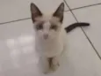 Menina