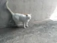 Lili