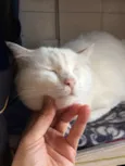 Pepa