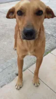 Teddy, Vilma, Magali