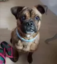 Bartholomeu