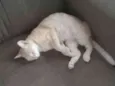 Maggie