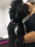 Neguinho