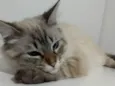Francisco