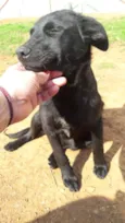 Mônica