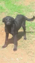 Mônica
