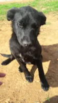 Mônica