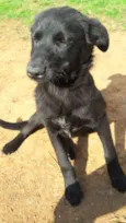 Mônica