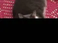 Cinzinha