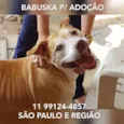 Babuska