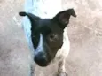 AQUILES