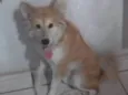 Simba
