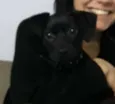 Ravena