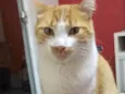 Sonny 