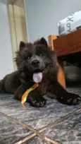 Marley