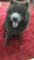 Marley