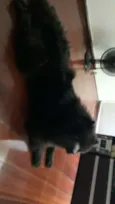 Marley