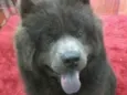 Marley
