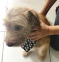 LUCK