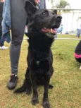 Sam
